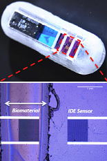  ingestible microsystem capsule